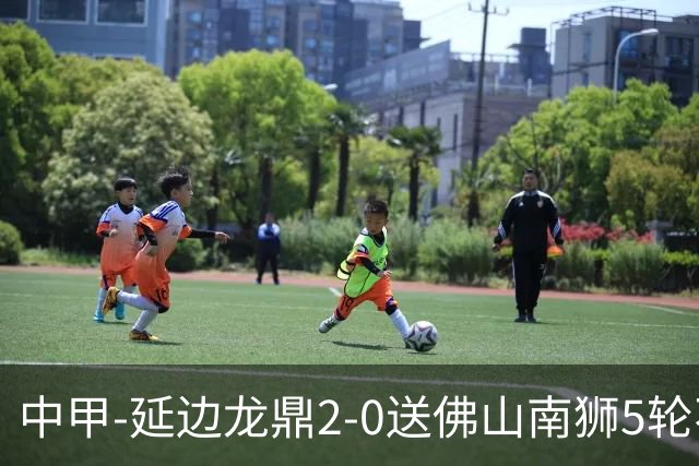中甲-延边龙鼎2-0送佛山南狮5轮不胜 多明戈斯角球破门徐继祖建功